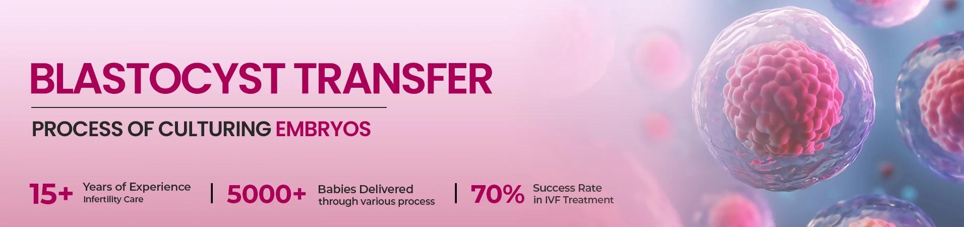 Blastocyst in Lucknow