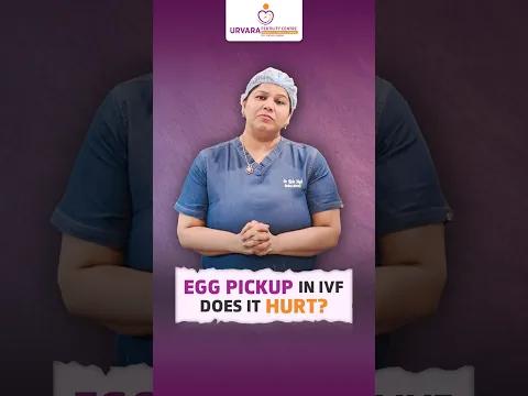 Egg Pickup in IVF – Does It Hurt?