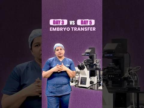 Day 3 vs Day 5 Embryo Transfer | Which is Better in IVF?