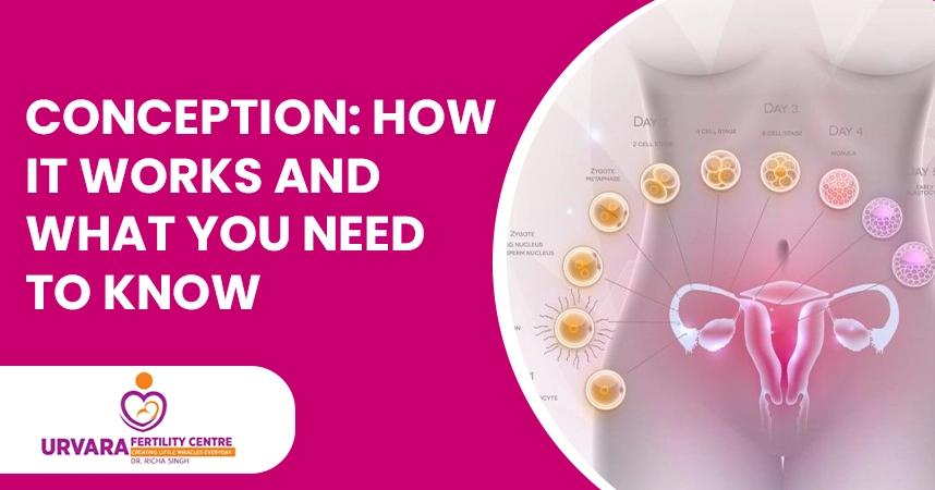Conception: How It Works and What You Need to Know