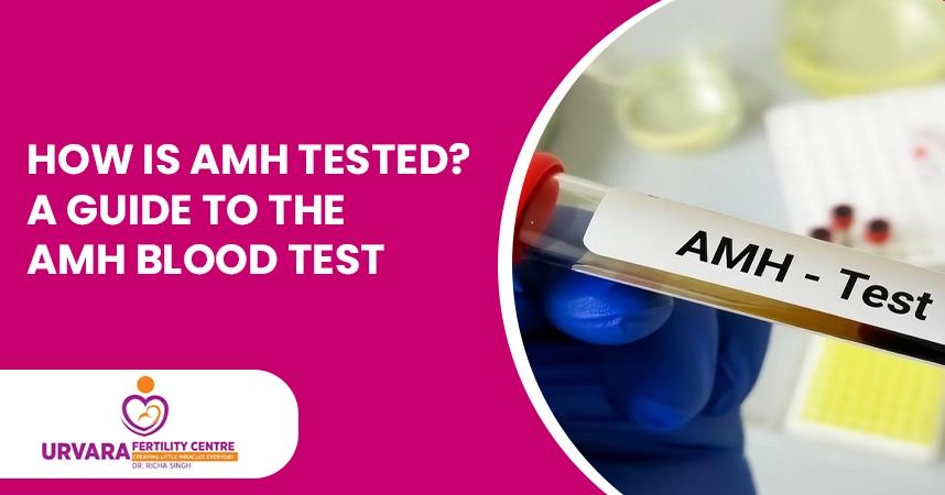 How is AMH Tested? A Guide to the AMH Blood Test