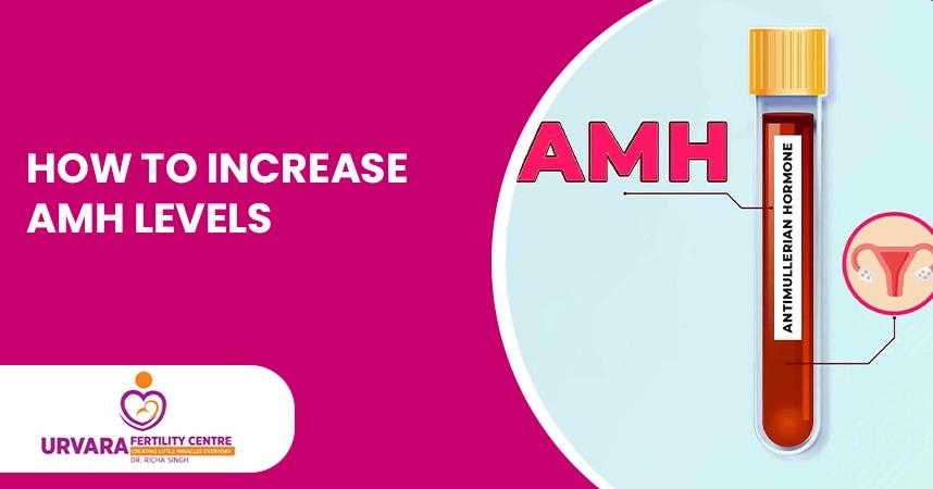 How to Increase AMH Levels: A Guide to Boosting Your Fertility
