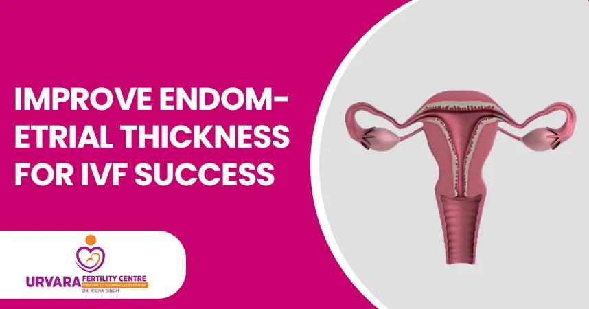 Improve Endometrial Thickness for IVF Success