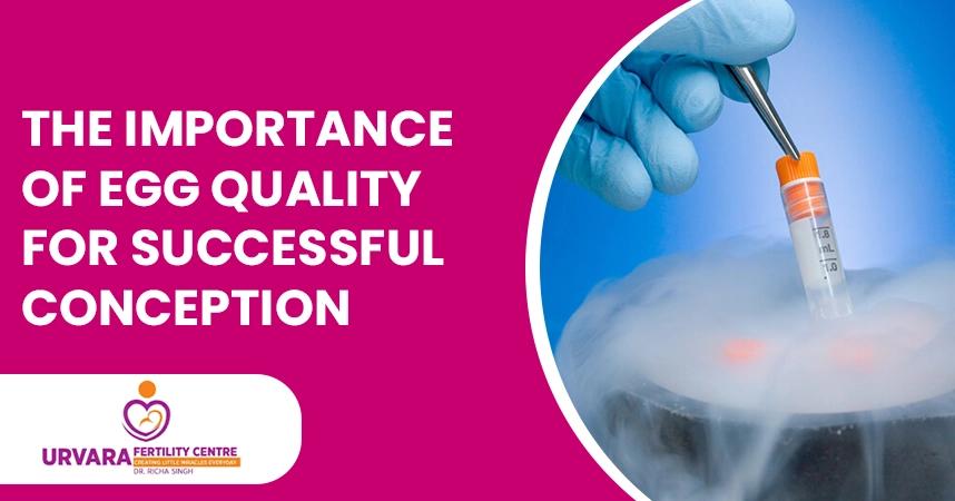 The Importance of Egg Quality for Successful Conception