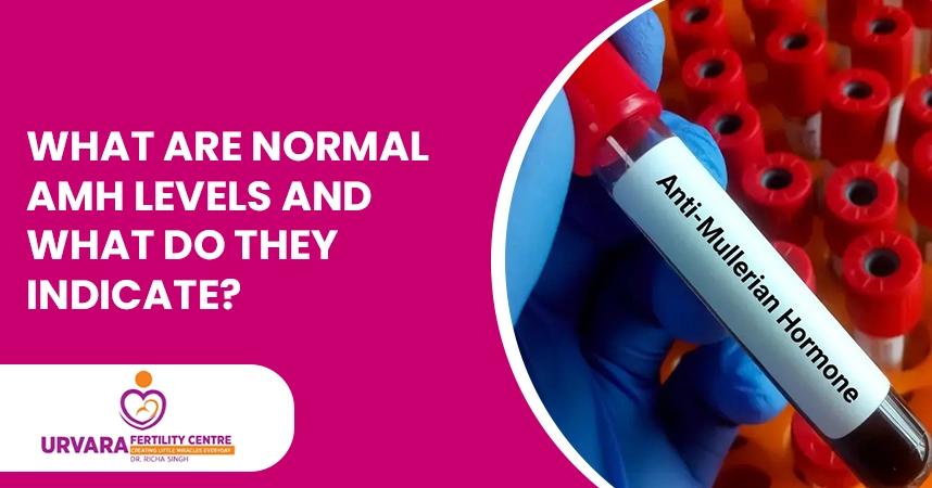 What Are Normal AMH Levels and What Do They Indicate?
