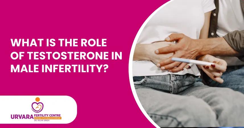 What is the role of testosterone in male infertility?