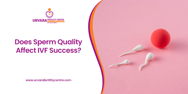 Does Sperm Quality Affect IVF Success?