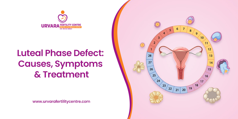 Luteal Phase Defect - Symptoms, Causes and Treatment - cyclotest.de