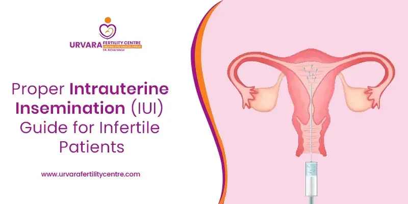 Proper Intrauterine Insemination (IUI) Guide for Infertile Patients