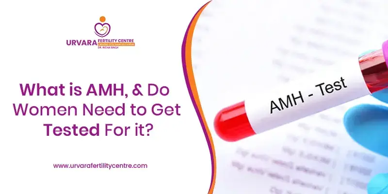 Understanding AMH: A Key Hormone in Women's Fertility