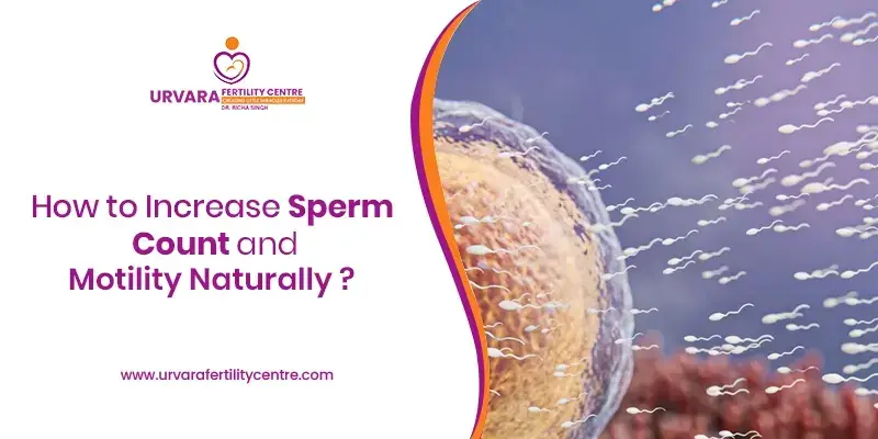 How to Increase Sperm Count and Motility Naturally