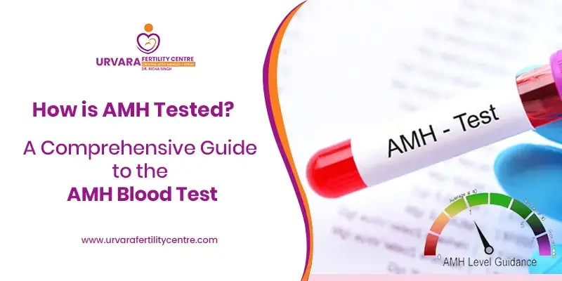 How is AMH Tested?