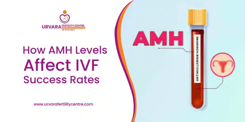 How AMH Levels Affect IVF Success Rates