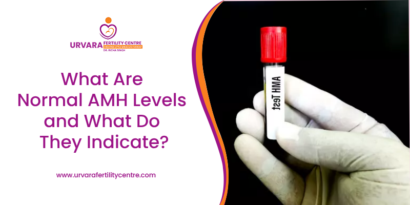 What Are Normal AMH Levels and What Do They Indicate?