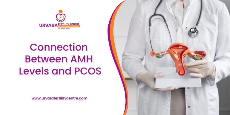 Connection Between AMH Levels and PCOS