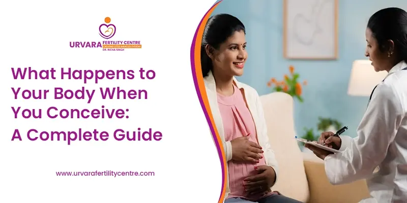 Changes in Body After Conception: What to Expect